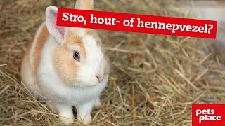 Wat is de beste bodembedekking voor konijnen cavia’s en hamsters [upl. by Vadim]