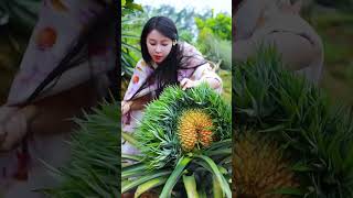 The joy of picking fruit is like holding the raw power of nature yunnan fruit shorts [upl. by Okir548]