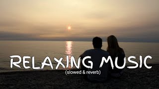 Relaxing music Lyrics  New song 2024 New English song  Best song english [upl. by Nivled]