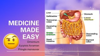 Omentum Omental foramen Pringle Maneuver  fast and easy  MEDICINE MADE EASY [upl. by Braunstein]