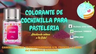 COLORANTE NATURAL DE COCHINILLA [upl. by Mirelle]