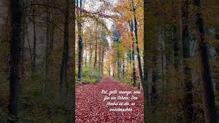 Herbst im Hardwald Kloten Video by Guido Scheerer [upl. by Ecneret]