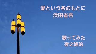 浜田省吾さんの「愛という名のもとに」を歌ってみた🎶 Yorunokohakuchannel [upl. by Laumas]