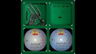 PLEXUS  CACTUS RHYTHM 1991 [upl. by Rusert]