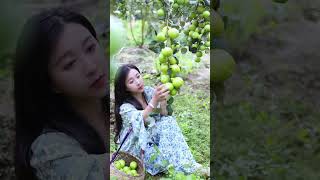 永远会被摘果子的乐趣所治愈 满载而归的喜悦无法言喻 云南 fruitshorts [upl. by Anileme]