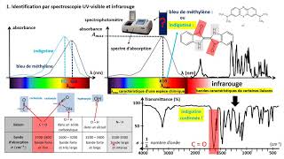 TERMspé La spectroscopie pour déterminer une concentration le cours [upl. by Nomar]