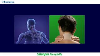 Dolori muscolari o articolari Salonpas Flessibile [upl. by Dhumma194]