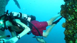 2011Aug20 Petronius Oil Rig Scuba Dive in the Gulf of Mexico [upl. by Mcquade498]