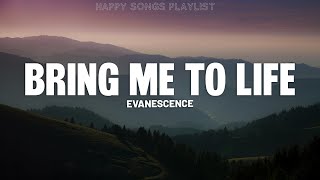 Evanescence  Bring Me To Life Lyrics [upl. by Naesad444]