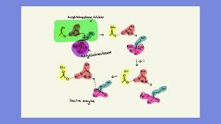 Acetylcholinesterase Inhibitors [upl. by Niret]