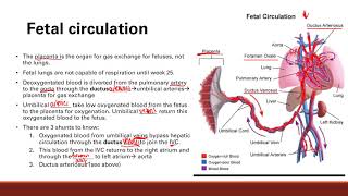 Fetal Circulation  Cardiovascular system  Step 1 Simplified [upl. by Ober352]