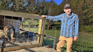 DIY Small Livestock Trailer to Load Pastured Pigs [upl. by Enowtna]