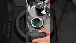 quotHasselblad X2D 100C Unbelievable Image Quality photography 4k  shorts [upl. by Singer]