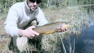 Fluefiske  fly fishing in Nordmarka Oslo Norway [upl. by Lazare]