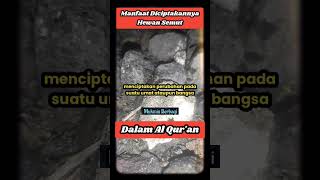 Manfaat diciptakannya Semut menurut Al Quran [upl. by Christoper]