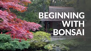 Beginning with Bonsai [upl. by Ballou470]