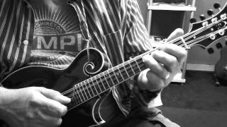 Basic Pick Stroke Theory  Mandolin Lesson [upl. by Analah]