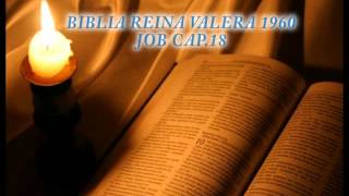 Biblia HabladaBIBLIA REINA VALERA 1960 JOB CAP 18 [upl. by Nuawad]