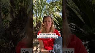 Probeer de nieuwe zwangerschapsmeditaties met Jody Kienhuis nu in de Meditation Moments app 🧡 [upl. by Hermia126]