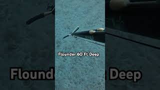 Spearfishing Flounder shorts [upl. by Cutter]