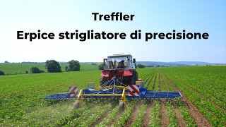 Erpice strigliatore di precisione TREFFLER [upl. by Saltsman]