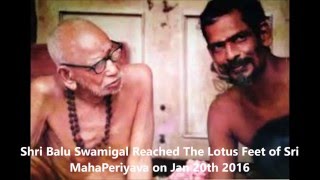 Experience With Maha Periyava By  A devotee From Wisdoms Goldenrod [upl. by Essilrahc320]