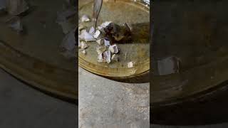 Malleability of Sodium Na chemistry science experiment metal lab viralvideo shorts short [upl. by Otrevire]