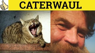 Caterwaul Caterwauling  Caterwaul Meaning  Caterwauling Examples  Caterwaul Definition [upl. by Konikow673]