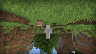 Upside Down Minecraft [upl. by Demah]