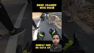 Dog ka ho gaya acciden bike rider se 😱😱 dog 310r automobile blogger rider bikelover shorts [upl. by Pontias146]