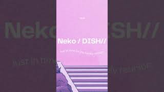 Neko  dish cover ねこ ネコ 猫 cover coversong [upl. by Aay]