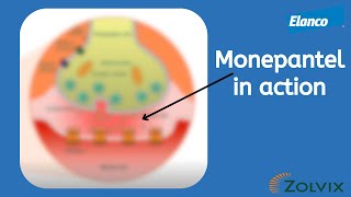 How Zolvix works the power of monepantel [upl. by Erina]