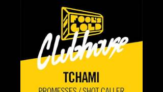 Tchami  Promesses feat Kaleem Taylor [upl. by Ynaoj]