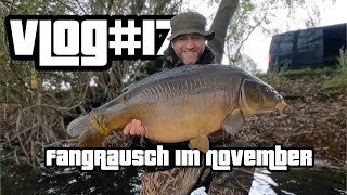 FANGRAUSCH im NOVEMBER  Vlog17 BrockeTV [upl. by Jimmy]