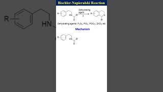 BischlerNapieralski Reaction [upl. by Tyrrell340]