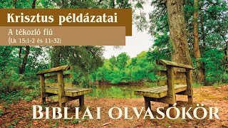 OLVASÓKÖR Krisztus Példázatai  A tékozló fiú példázata Reisinger János [upl. by Nosirrag]