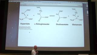 10 Kevin Aherns Biochemistry  Enzymes II [upl. by Steffy]