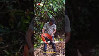 Arecanut Husk Compost Making Method  Turn your Farm waste into Nutrient Rich Fertilizer [upl. by Laughry]