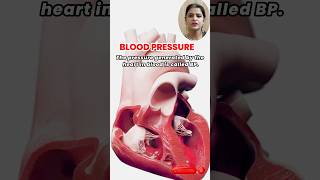 The Science Behind Blood Pressure Essential Information for Health Systolic amp Diastolic Explained [upl. by Onitselec948]