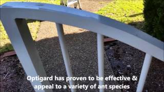 Optigard Ant Gel Review and Demonstration [upl. by Euqinoj]