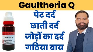 Gaultheria q uses in hindi  Gaultheria mother tincture uses in hindi [upl. by Alayne]