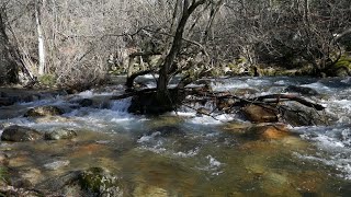 La Pedriza un paraíso en Manzanares el Real Madrid [upl. by Romilly]