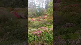 Beautiful Spring  Botanical Garden  Dandenong Ranges  Melbourne [upl. by Limoli361]