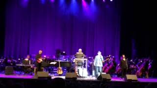 Micky Dolenz and The Tucson Symphony Orchestra  The Porpoise Song [upl. by Annal]