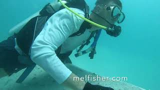 Members Dive the Atocha Shipwreck site HD 1080p [upl. by Lirpa547]