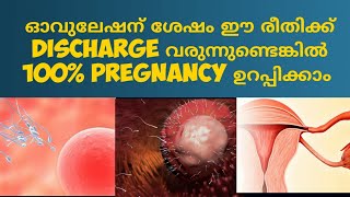 Early Pregnancy Discharge Malayalam Deechus World [upl. by Akenihs]