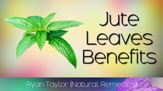 Jute Leaves Benefits amp Uses Saluyot [upl. by Karisa]