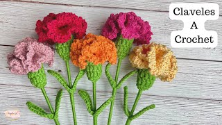 Tutorial Claveles tejidos a Crochet Fácil💜Mayelin Ros [upl. by Aivul828]