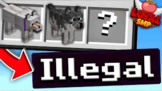 Why I Am Breeding Illegal Wolves to Kill One Player in This Minecraft Smp [upl. by Irahk788]