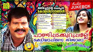 Pandippadakkuruppalle Kettiyapinnethindara  Manichettante Thakarppan ComedyGanangal  Audio Jukebox [upl. by Neeliak29]